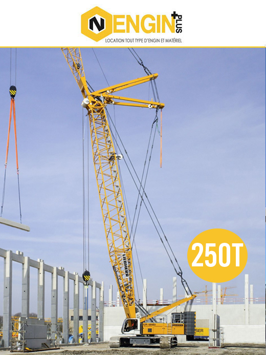 Grue sur chenilles 250T